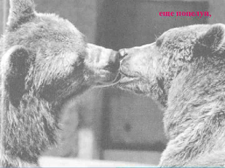 еще поцелуи, 