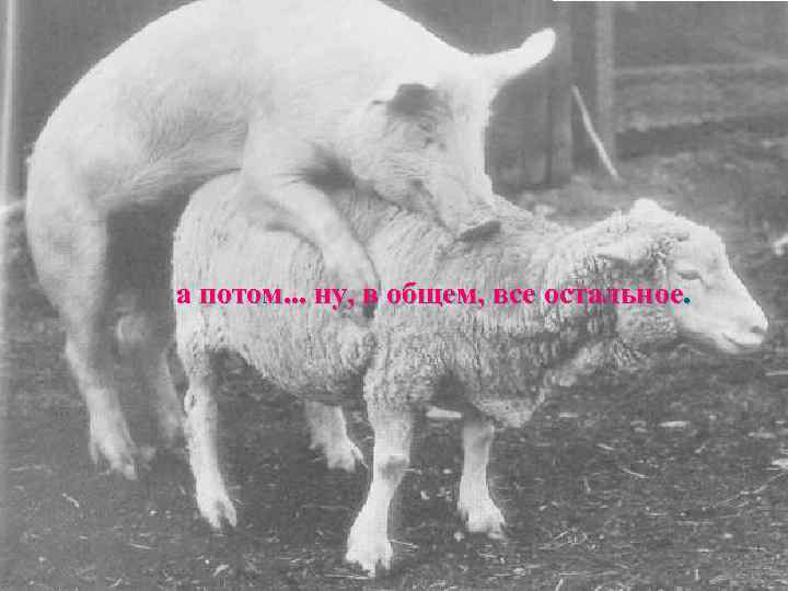 а потом. . . ну, в общем, все остальное. 