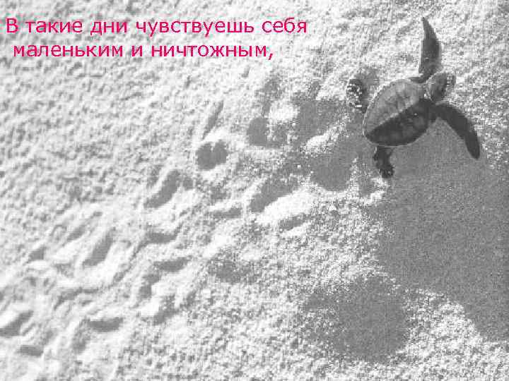 В такие дни чувствуешь себя маленьким и ничтожным, 