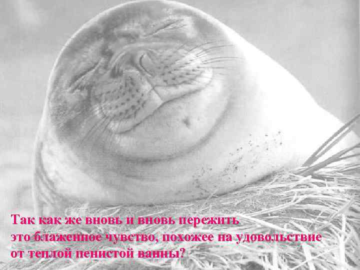 Так как же вновь и вновь пережить это блаженное чувство, похожее на удовольствие от