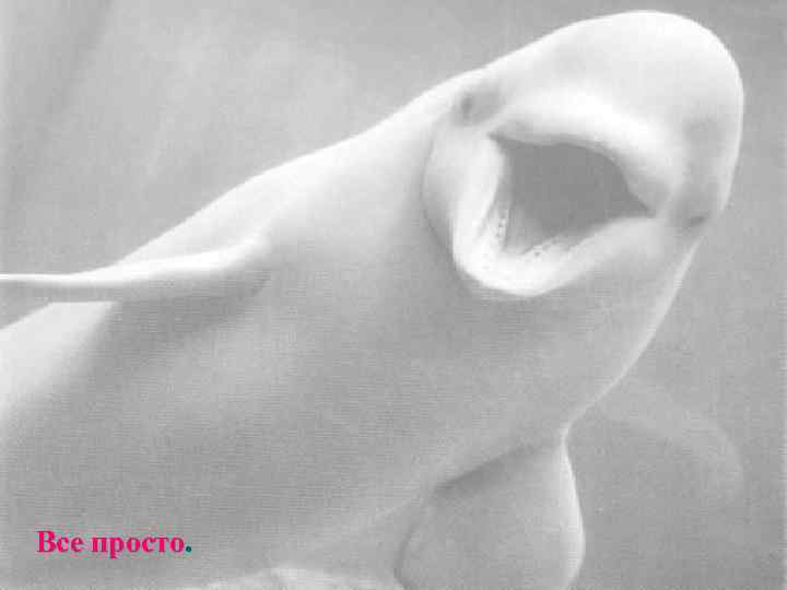 Все просто. 