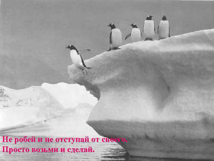Не робей и не отступай от своего.  Просто возьми и сделай. 