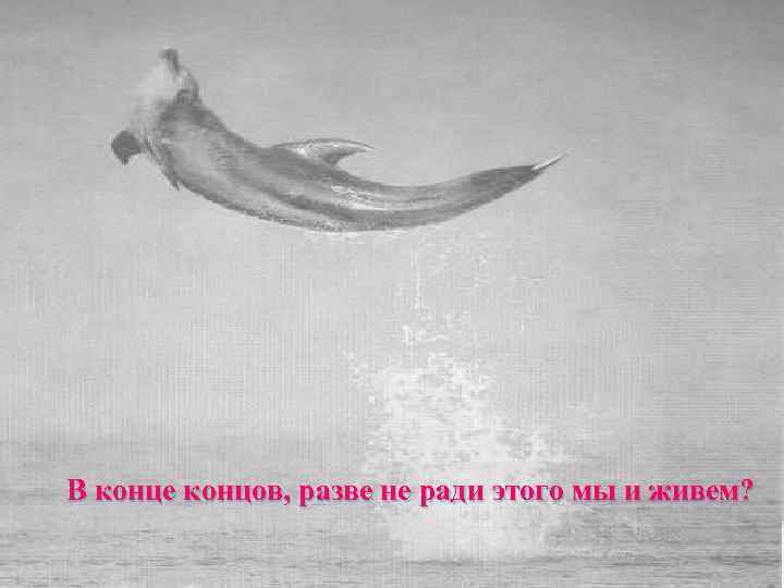 В конце концов, разве не ради этого мы и живем? 