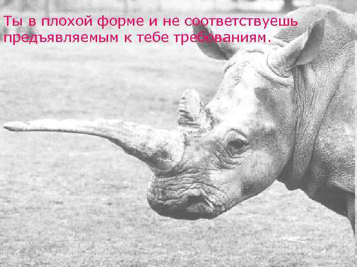 Ты в плохой форме и не соответствуешь предъявляемым к тебе требованиям. 