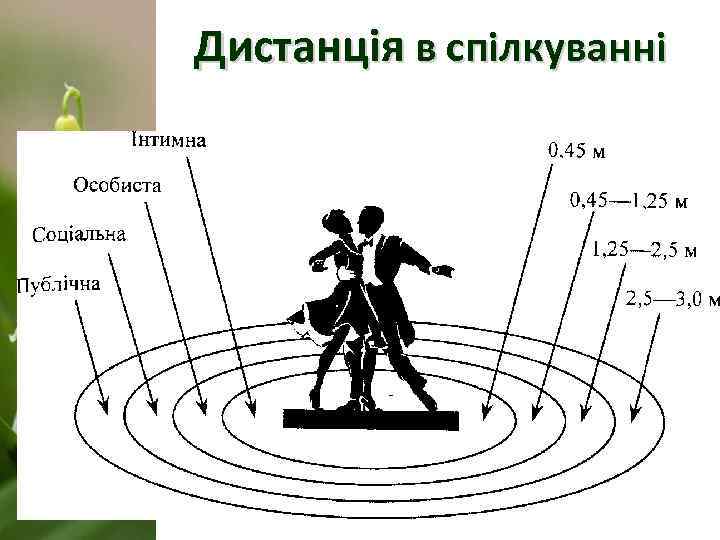 Дистанція в спілкуванні 