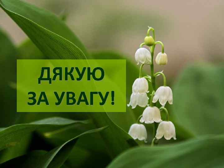  ДЯКУЮ ЗА УВАГУ! 