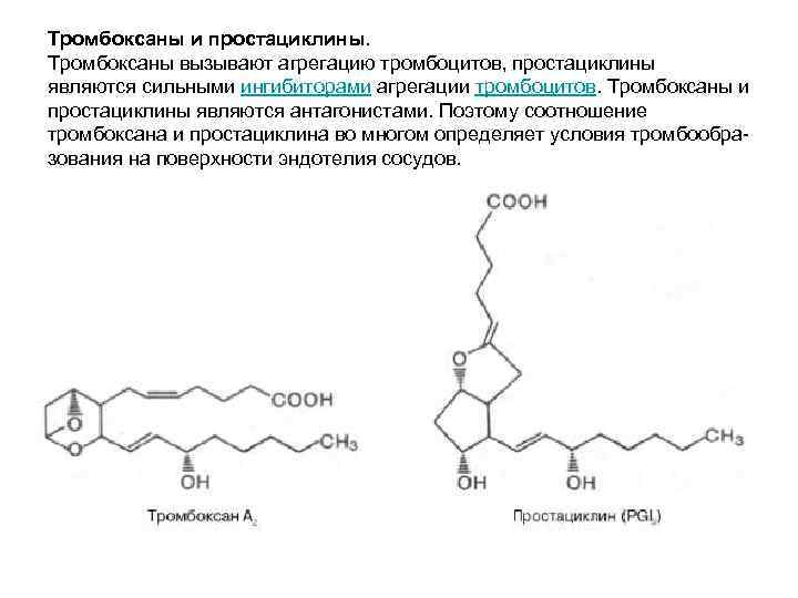 Тромбоксаны и простациклины. Тромбоксаны вызывают агрегацию тромбоцитов, простациклины являются сильными ингибиторами агрегации тромбоцитов. Тромбоксаны Тромбоксаны и простациклины. Тромбоксаны вызывают агрегацию тромбоцитов, простациклины являются сильными ингибиторами агрегации тромбоцитов. Тромбоксаны