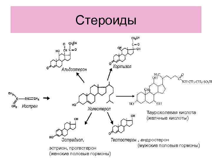 Стероиды Таурохолевая кислота Стероиды Таурохолевая кислота