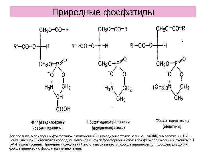 Природные фосфатиды Как правило, в природных фосфатидах в положении С Природные фосфатиды Как правило, в природных фосфатидах в положении С