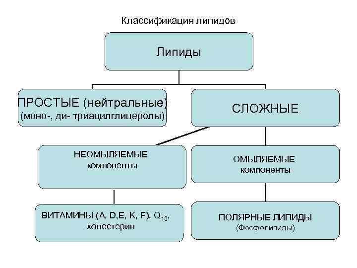 Классификация липидов Липиды Классификация липидов Липиды