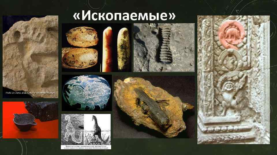  «Ископаемые» 