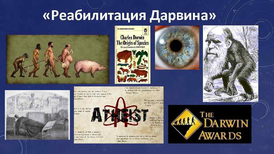  «Реабилитация Дарвина» 