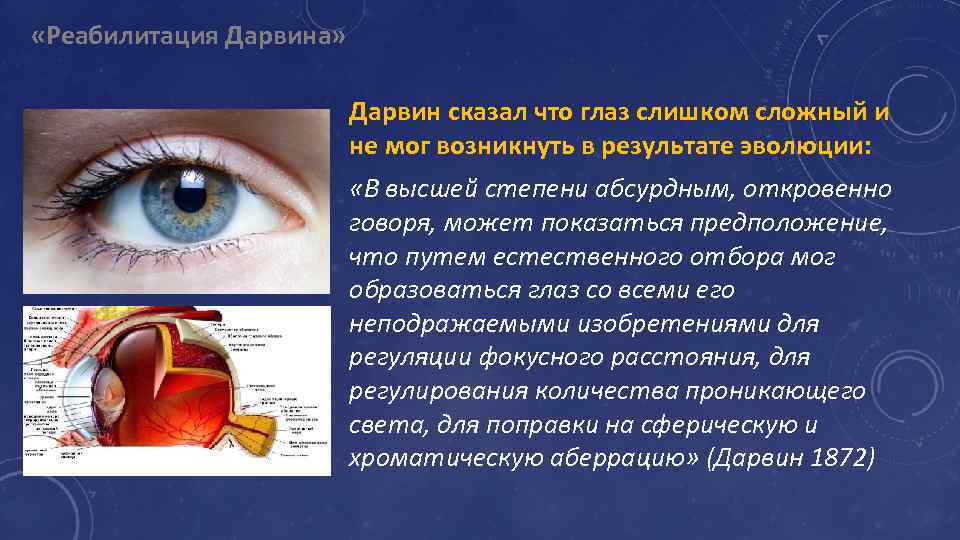  «Реабилитация Дарвина» Дарвин сказал что глаз слишком сложный и не мог возникнуть в
