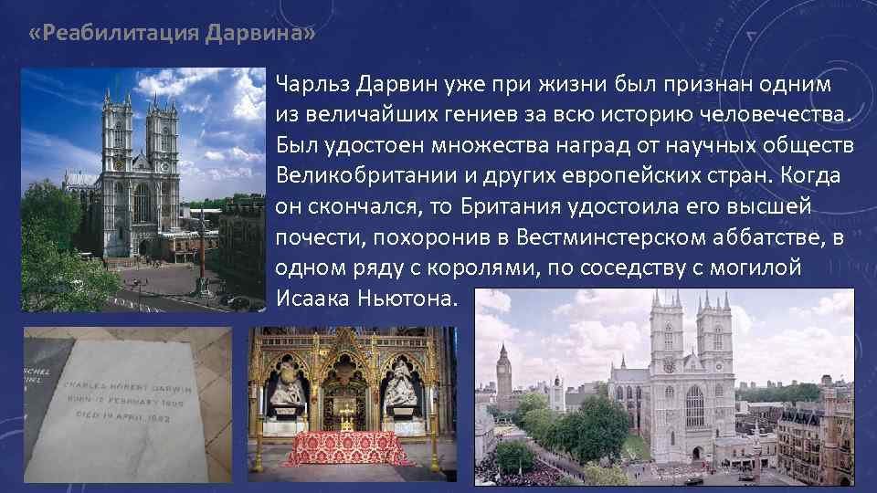  «Реабилитация Дарвина» Чарльз Дарвин уже при жизни был признан одним из величайших гениев