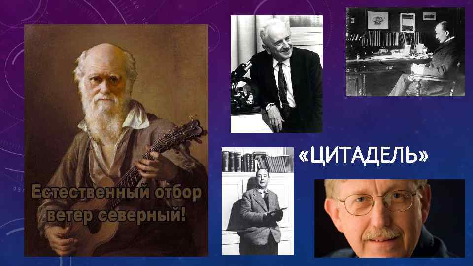  «ЦИТАДЕЛЬ» 