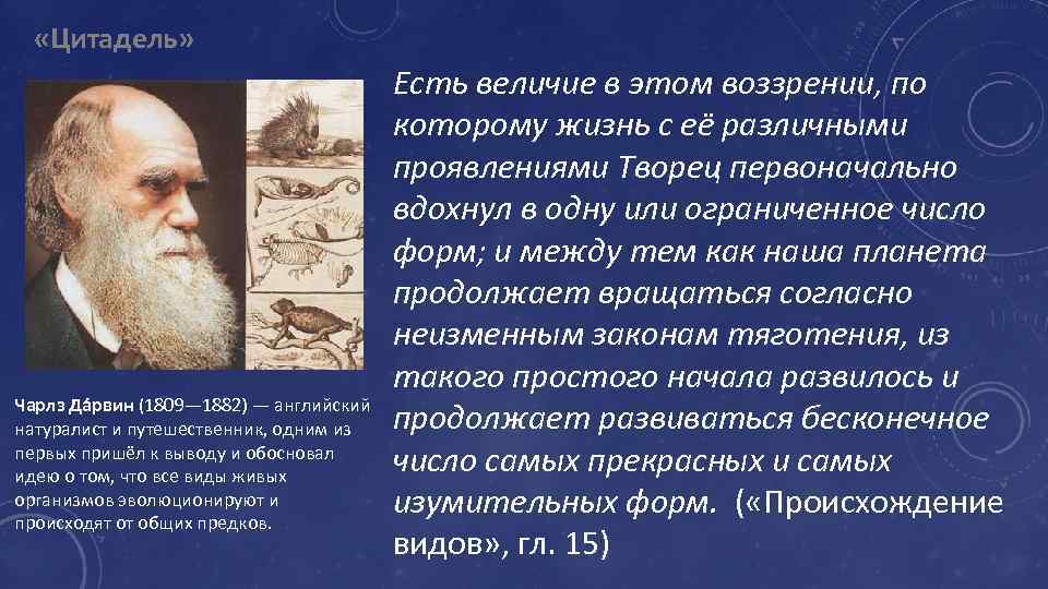  «Цитадель» Чарлз Да рвин (1809— 1882) — английский натуралист и путешественник, одним из