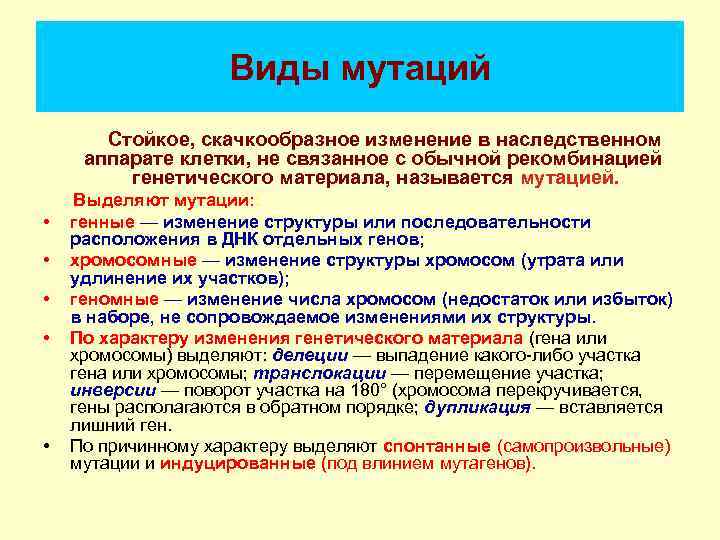     Виды мутаций  Стойкое, скачкообразное изменение в наследственном аппарате клетки,