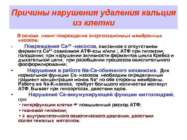 Причины нарушения удаления кальция   из клетки  В основе лежит повреждение энергозависимых
