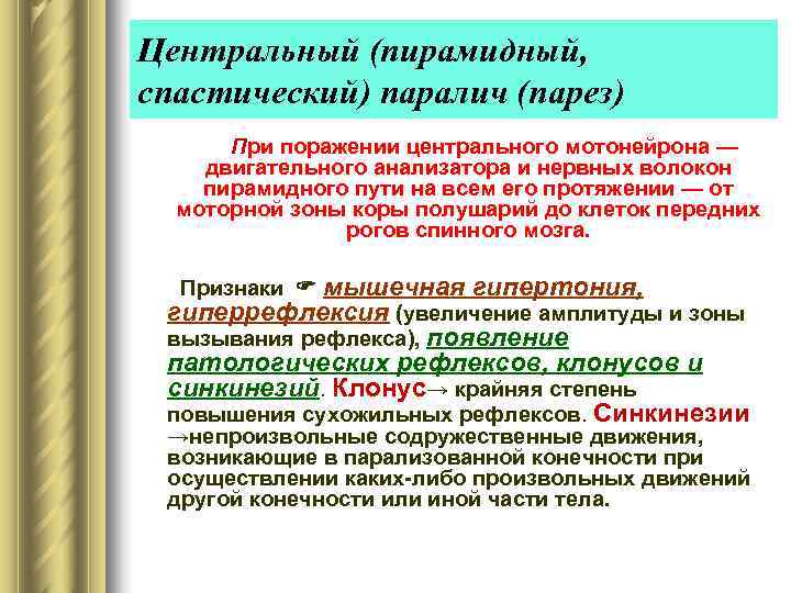 Центральный (пирамидный, спастический) паралич (парез)  При поражении центрального мотонейрона — двигательного анализатора и