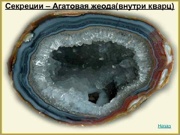 Секреции – Агатовая жеода(внутри кварц)    Назад 