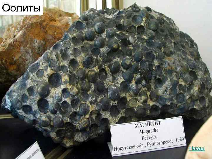 Оолиты   Назад 
