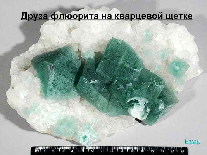 Друза флюорита на кварцевой щетке      Назад 