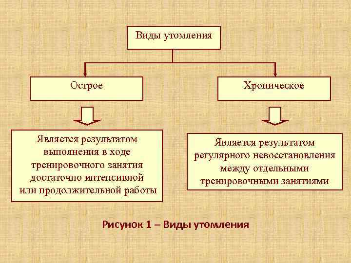      Виды утомления   Острое    