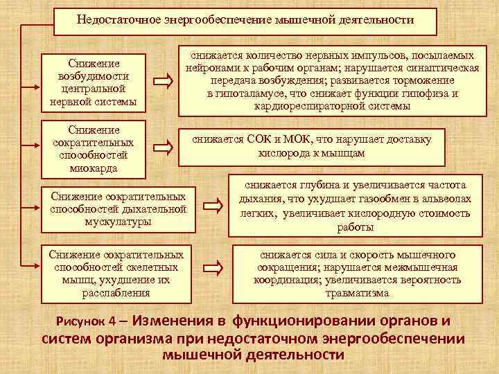  Недостаточное энергообеспечение мышечной деятельности     снижается количество нервных импульсов, посылаемых