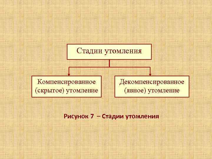   Стадии утомления  Компенсированное  Декомпенсированное (скрытое) утомление (явное) утомление  Рисунок