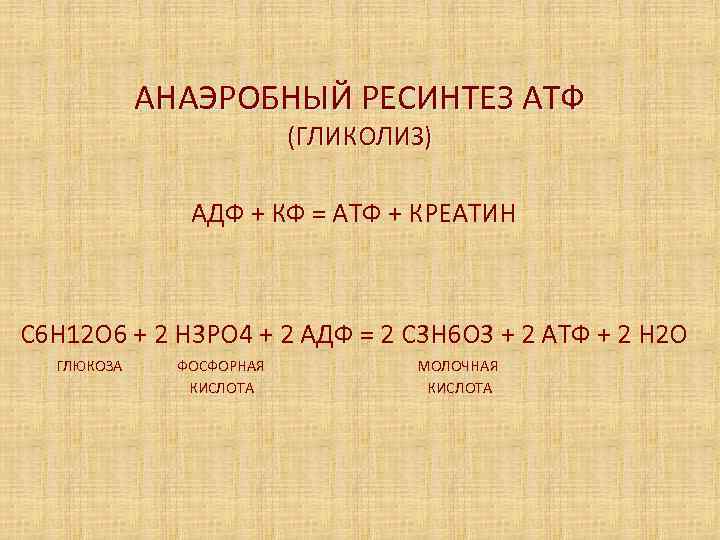   АНАЭРОБНЫЙ РЕСИНТЕЗ АТФ      (ГЛИКОЛИЗ)   АДФ
