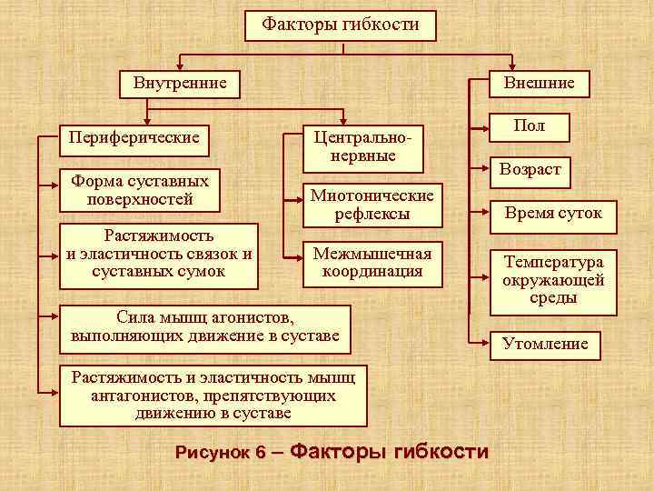      Факторы гибкости   Внутренние    