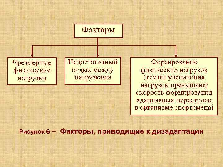     Факторы  Чрезмерные Недостаточный   Форсирование физические  отдых