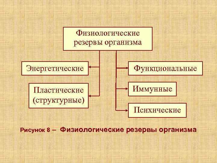    Физиологические   резервы организма  Энергетические   Функциональные Пластические