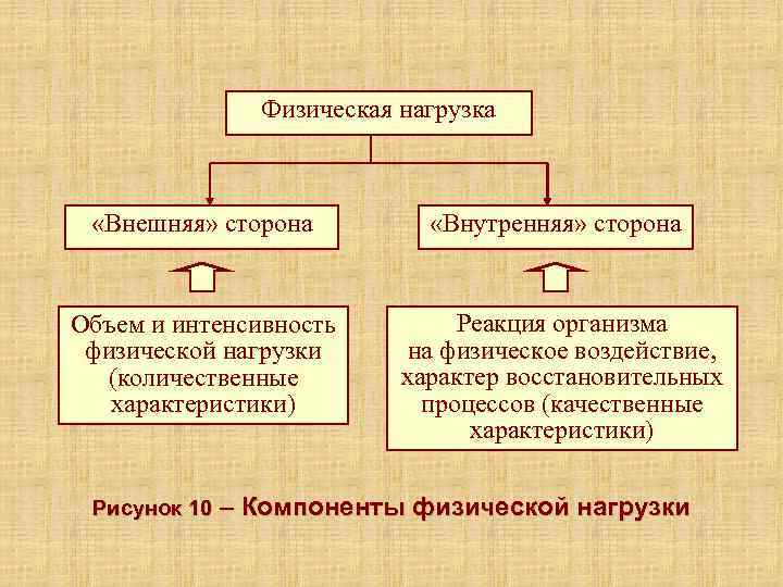     Физическая нагрузка «Внешняя» сторона  «Внутренняя» сторона  Объем и