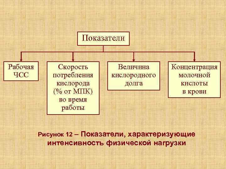      Показатели  Рабочая  Скорость  Величина Концентрация ЧСС