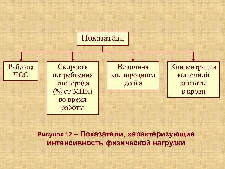      Показатели  Рабочая  Скорость  Величина Концентрация ЧСС