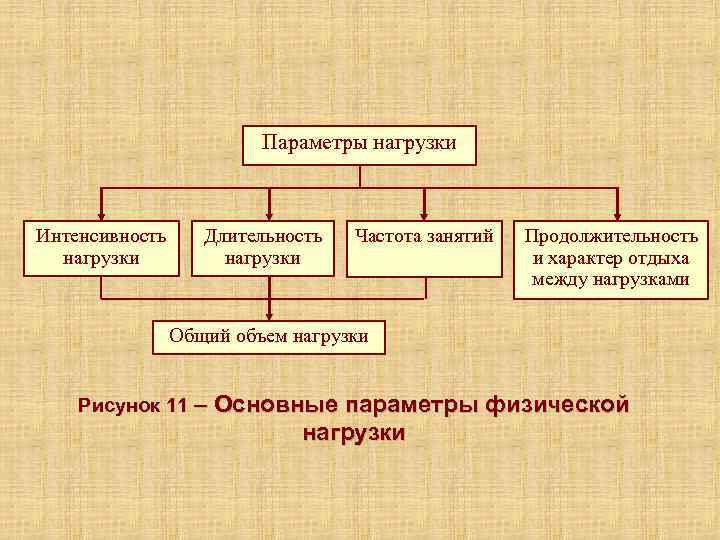      Параметры нагрузки  Интенсивность Длительность  Частота занятий 