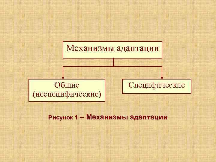   Механизмы адаптации   Общие  Специфические (неспецифические) Рисунок 1 – Механизмы