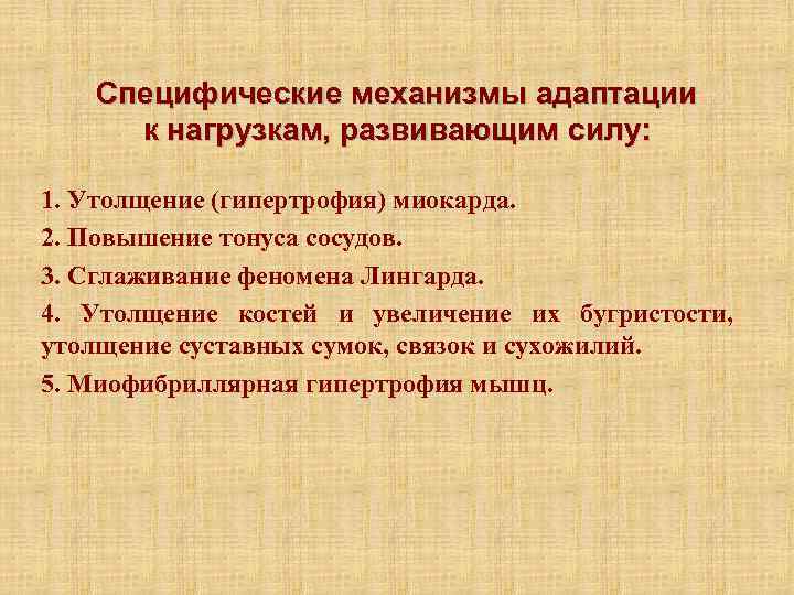   Специфические механизмы адаптации к нагрузкам, развивающим силу:  1. Утолщение (гипертрофия) миокарда.