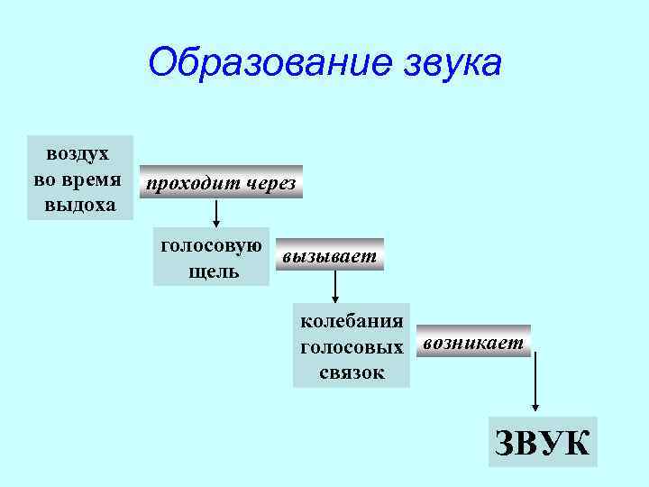   Образование звука  воздух во время  проходит через выдоха  