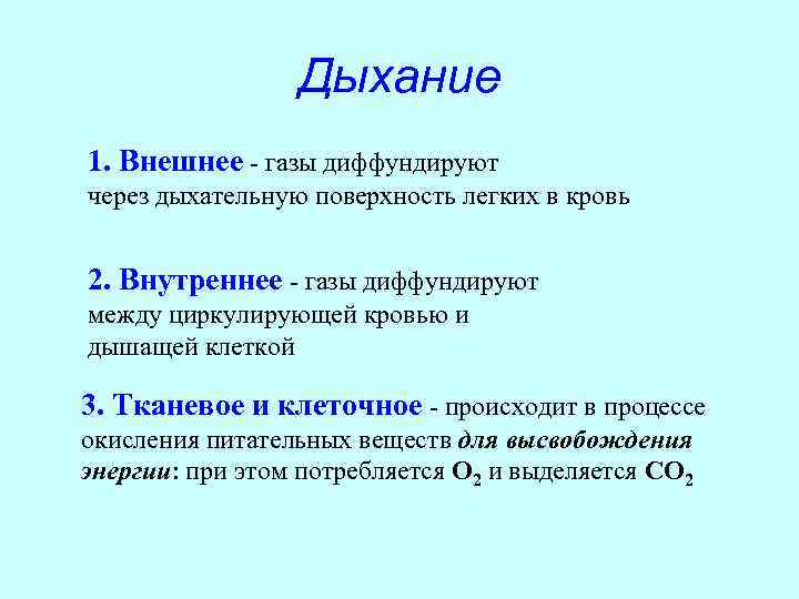    Дыхание 1. Внешнее - газы диффундируют через дыхательную поверхность легких в