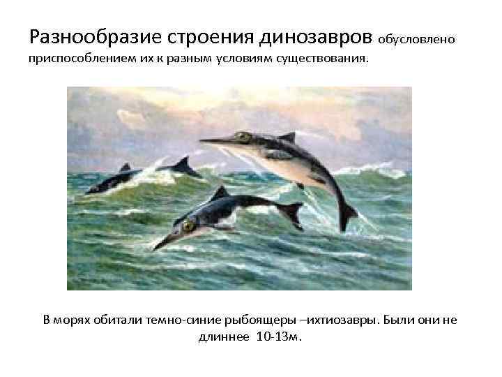 Разнообразие строения динозавров обусловлено приспособлением их к разным условиям существования.  В морях обитали
