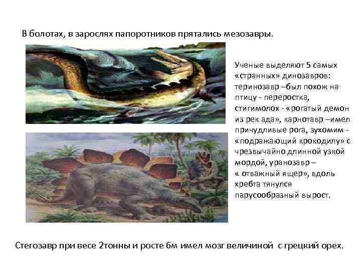   В болотах, в зарослях папоротников прятались мезозавры.     