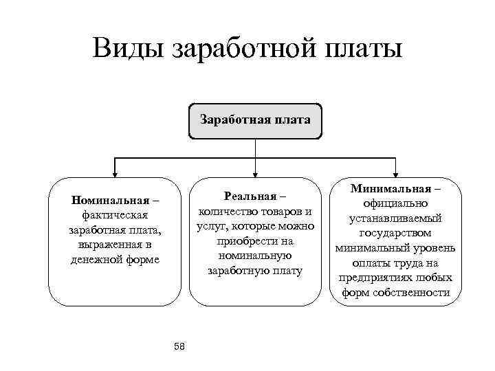   Виды заработной платы      Заработная плата  