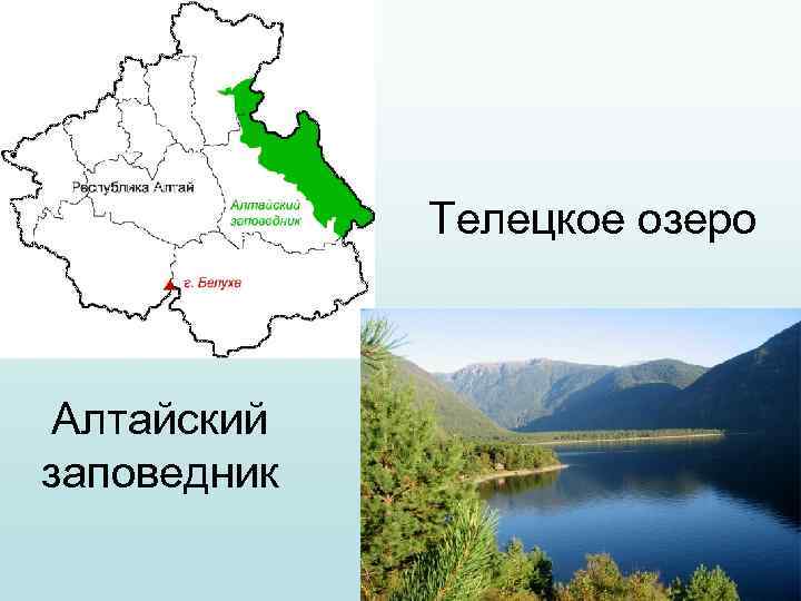    Телецкое озеро  Алтайский заповедник 