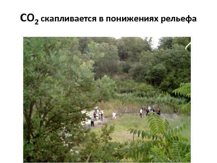 CO 2 скапливается в понижениях рельефа 
