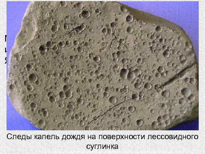   Следы капель дождя Мелкие ямки,  окруженные валиком.  В ископаемом
