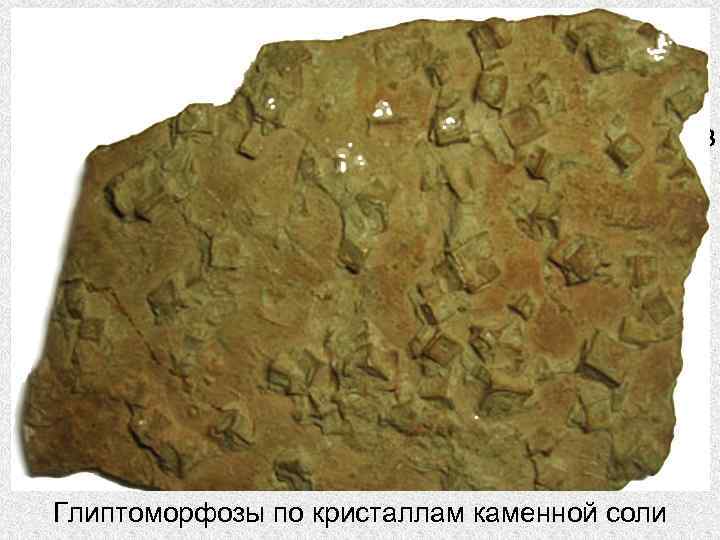   Глиптоморфозы рельефные отпечатки ( слепки ) кристаллов     главным