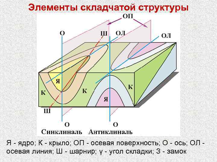  Элементы складчатой структуры Я - ядро; К - крыло; ОП - осевая поверхность;