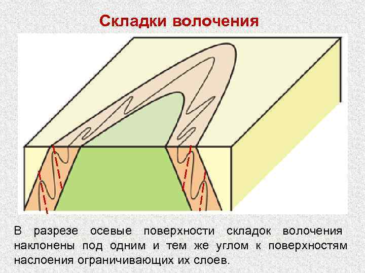    Складки волочения В разрезе осевые поверхности складок волочения   